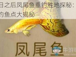 明日之后凤尾鱼垂钓胜地探秘：秘境钓鱼点大揭秘