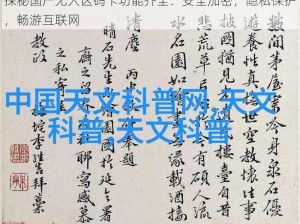 探秘国产无人区码卡功能齐全：安全加密，隐私保护，畅游互联网