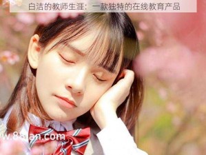 白洁的教师生涯：一款独特的在线教育产品