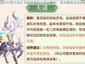 《三国志幻想大陆》顶级灵宠实力对比解析：探寻最强灵宠资料攻略