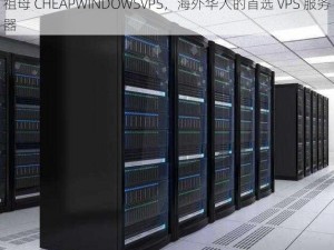 祖母 CHEAPWINDOWSVPS，海外华人的首选 VPS 服务器