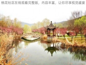 桃花社区在线观看完整版，内容丰富，让你尽享视觉盛宴