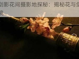 长安剑影花间摄影地探秘：揭秘花与剑的拍摄秘境