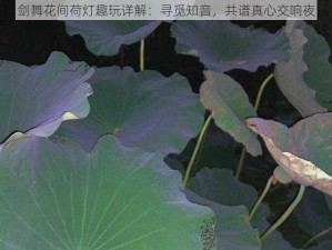 剑舞花间荷灯趣玩详解：寻觅知音，共谱真心交响夜