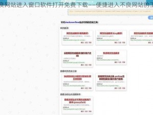 不良网站进入窗口软件打开免费下载——便捷进入不良网站的工具