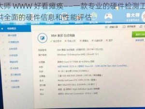 鲁大师 WWW 好看瘫痪——一款专业的硬件检测工具，提供全面的硬件信息和性能评估