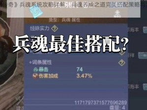 《原始传奇》兵魂系统攻略详解：兵魂养成之道完美搭配策略与实战运用指南