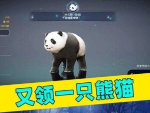 黑色沙漠手游熊猫获得全攻略：从获取途径到培养方法一网打尽