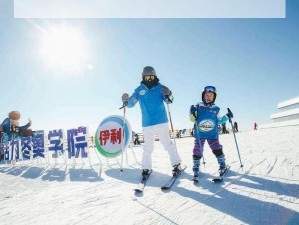 冰雪竞技赛场设备搭建与配置详解：安装指南及技术要求