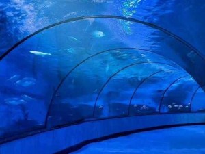 《欢乐探秘：欢喜海族馆之旅，乐趣无穷》