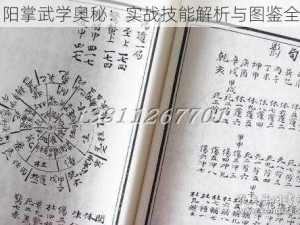 阴阳掌武学奥秘：实战技能解析与图鉴全书