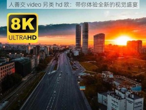 人善交 video 另类 hd 欧：带你体验全新的视觉盛宴