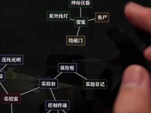 《文字脑洞：荒岛求生攻略手册——小姐姐求生闯关秘籍》