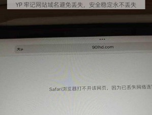 YP 牢记网站域名避免丢失，安全稳定永不丢失