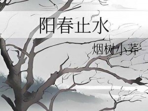 原创小说阳春止水 by 烟树小荞，内含大量精彩内容，值得一看