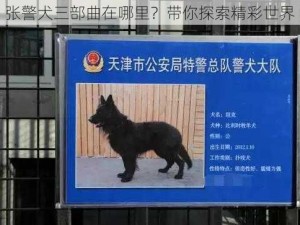 张警犬三部曲在哪里？带你探索精彩世界