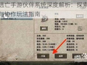 绝地逃亡手游伙伴系统深度解析：探索伙伴交互与协作玩法指南