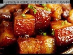 黑黑的肥岳牌红烧肉，口感鲜嫩，色泽红亮，肥而不腻