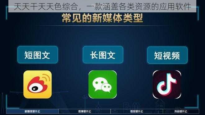 天天干天天色综合，一款涵盖各类资源的应用软件