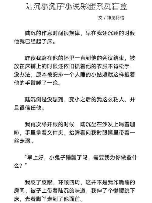 陆沉小兔子小说彩蛋系列盲盒