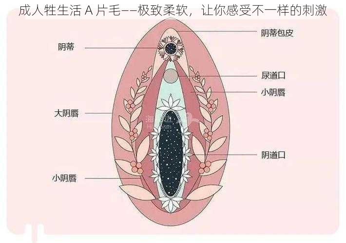 成人牲生活 A 片毛——极致柔软，让你感受不一样的刺激