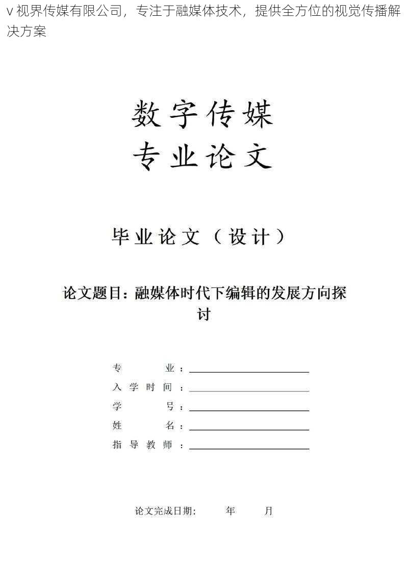 v 视界传媒有限公司，专注于融媒体技术，提供全方位的视觉传播解决方案