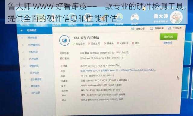鲁大师 WWW 好看瘫痪——一款专业的硬件检测工具，提供全面的硬件信息和性能评估