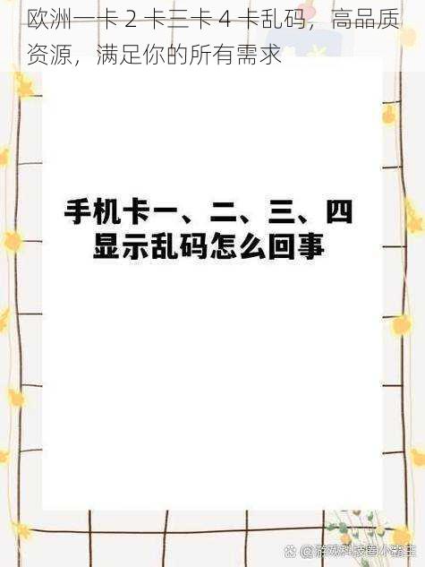 欧洲一卡 2 卡三卡 4 卡乱码，高品质资源，满足你的所有需求