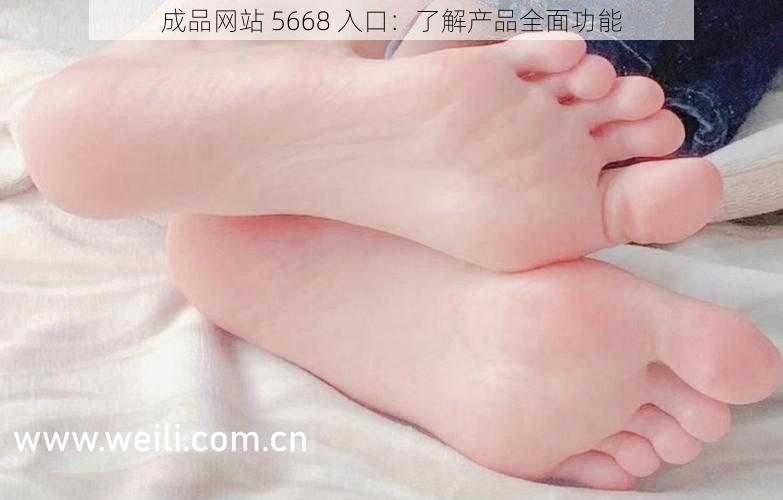 成品网站 5668 入口：了解产品全面功能