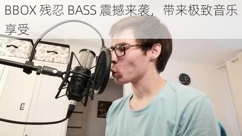 BBOX 残忍 BASS 震撼来袭，带来极致音乐享受