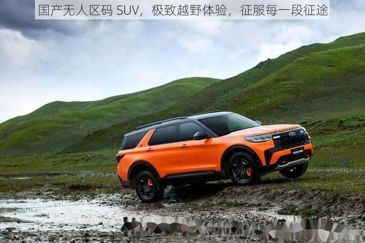 国产无人区码 SUV，极致越野体验，征服每一段征途