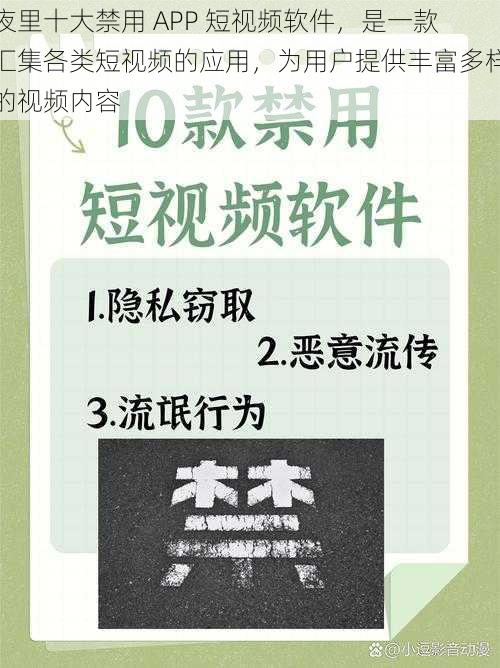 夜里十大禁用 APP 短视频软件，是一款汇集各类短视频的应用，为用户提供丰富多样的视频内容