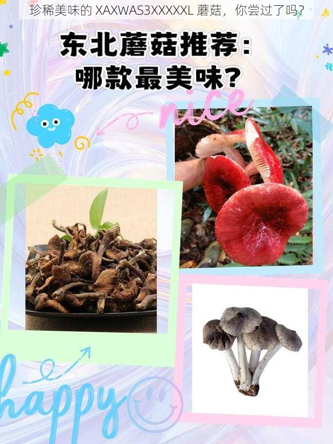 珍稀美味的 XAXWAS3XXXXXL 蘑菇，你尝过了吗？