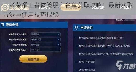 王者荣耀王者体验服白名单获取攻略：最新获取方法与使用技巧揭秘