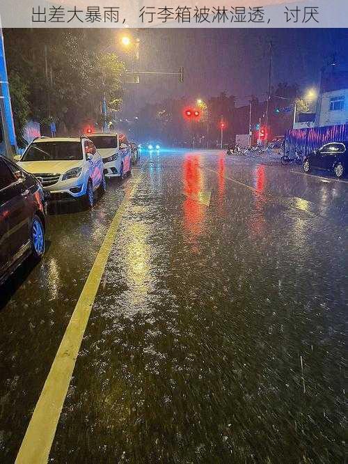 出差大暴雨，行李箱被淋湿透，讨厌