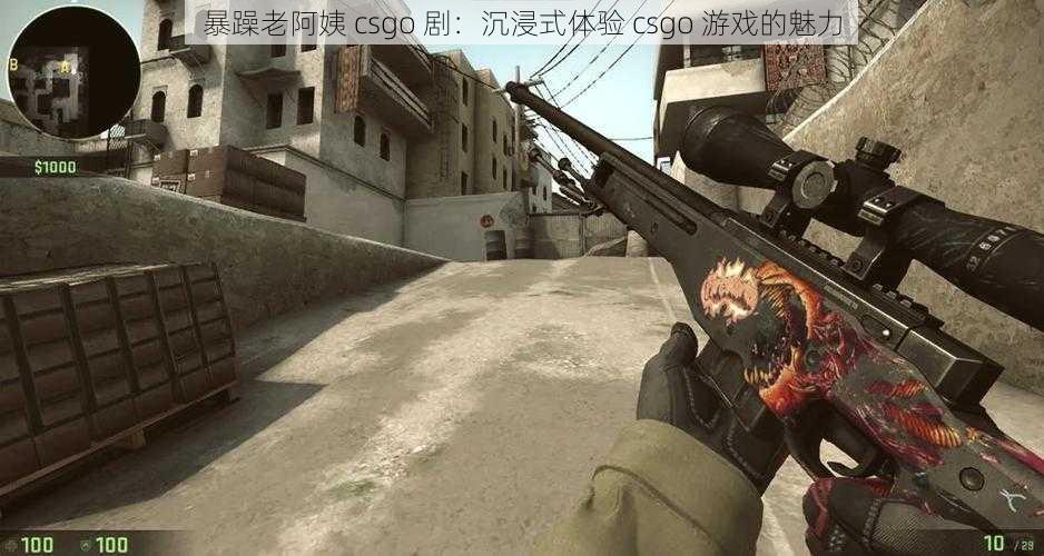 暴躁老阿姨 csgo 剧：沉浸式体验 csgo 游戏的魅力