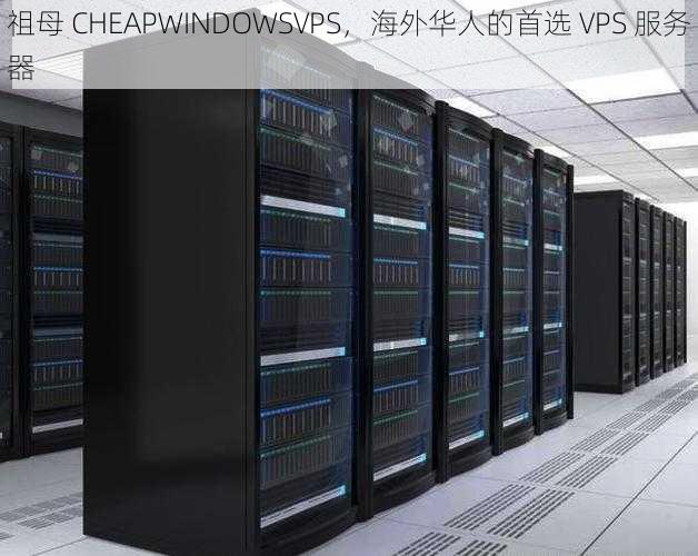 祖母 CHEAPWINDOWSVPS，海外华人的首选 VPS 服务器