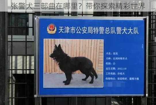 张警犬三部曲在哪里？带你探索精彩世界