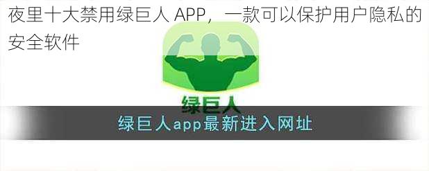 夜里十大禁用绿巨人 APP，一款可以保护用户隐私的安全软件