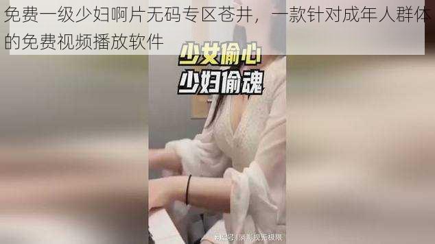 免费一级少妇啊片无码专区苍井，一款针对成年人群体的免费视频播放软件