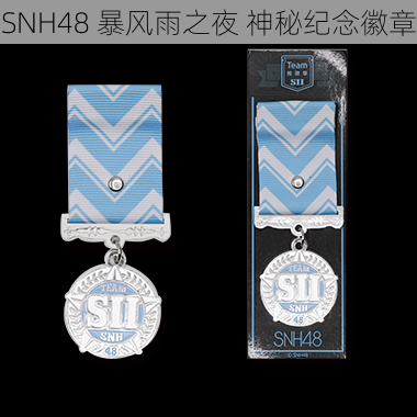 SNH48 暴风雨之夜 神秘纪念徽章