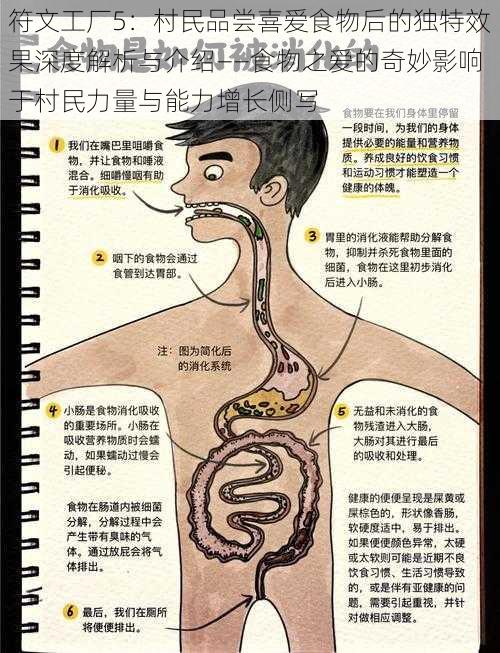 符文工厂5：村民品尝喜爱食物后的独特效果深度解析与介绍——食物之爱的奇妙影响于村民力量与能力增长侧写