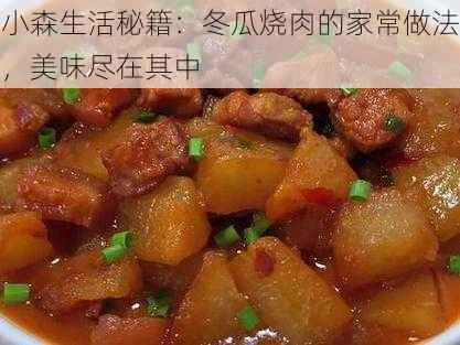 小森生活秘籍：冬瓜烧肉的家常做法，美味尽在其中