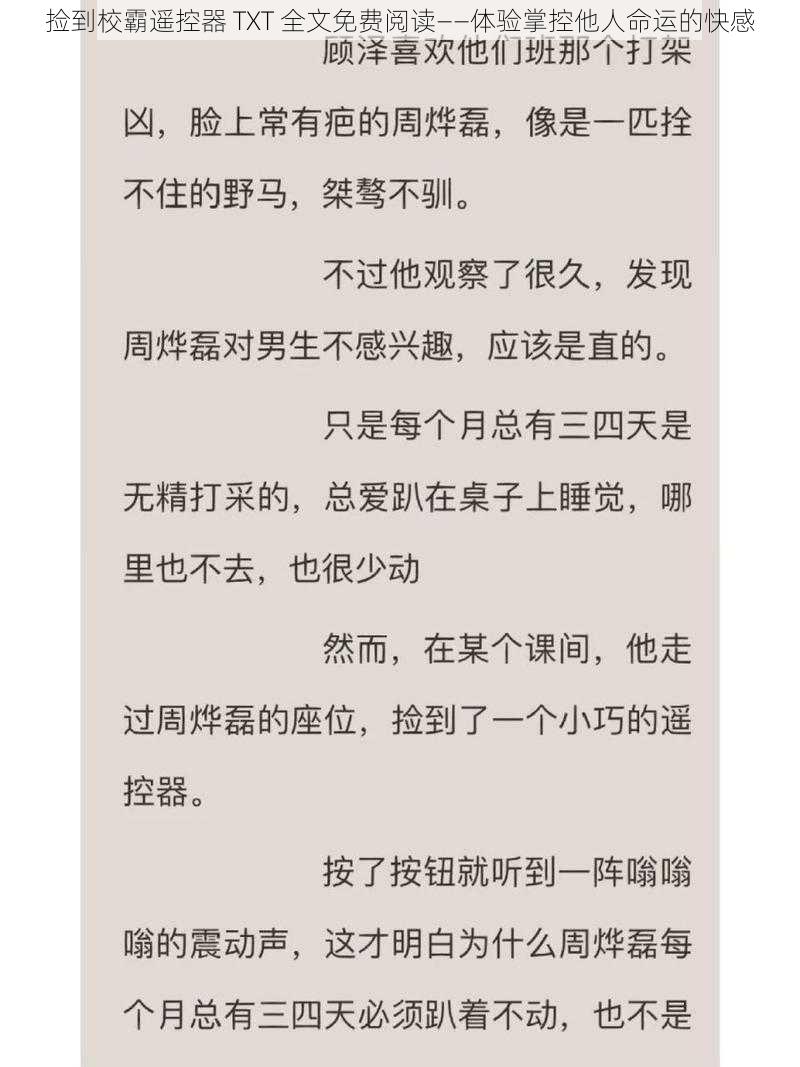 捡到校霸遥控器 TXT 全文免费阅读——体验掌控他人命运的快感