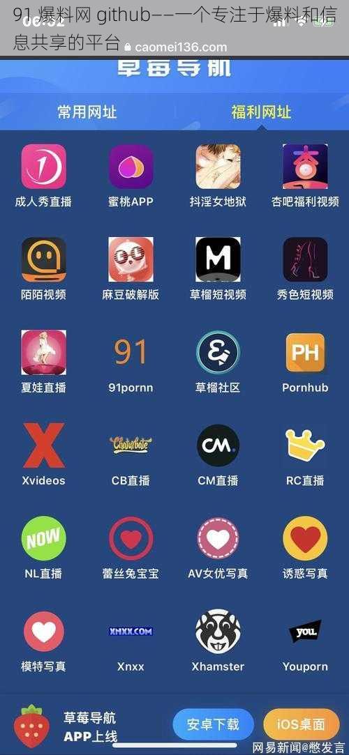 91 爆料网 github——一个专注于爆料和信息共享的平台