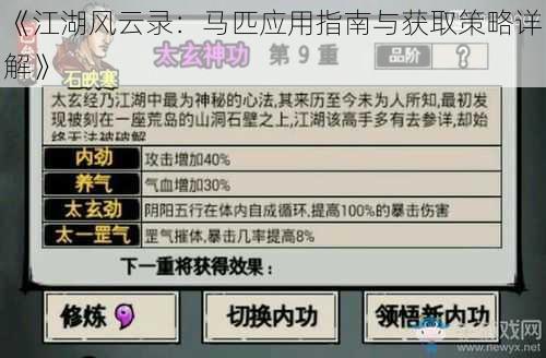 《江湖风云录：马匹应用指南与获取策略详解》