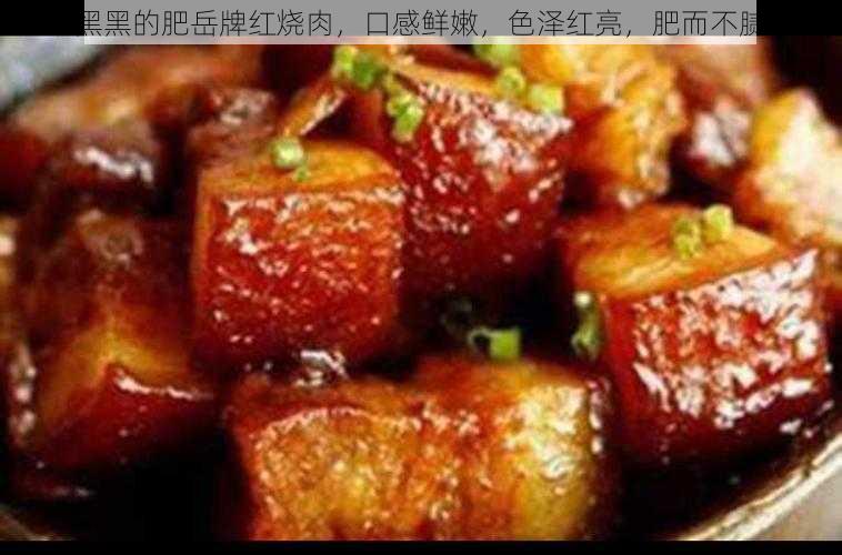 黑黑的肥岳牌红烧肉，口感鲜嫩，色泽红亮，肥而不腻