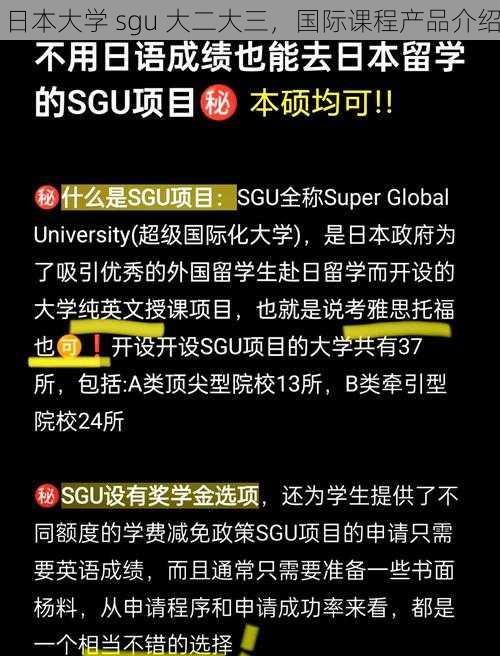 日本大学 sgu 大二大三，国际课程产品介绍