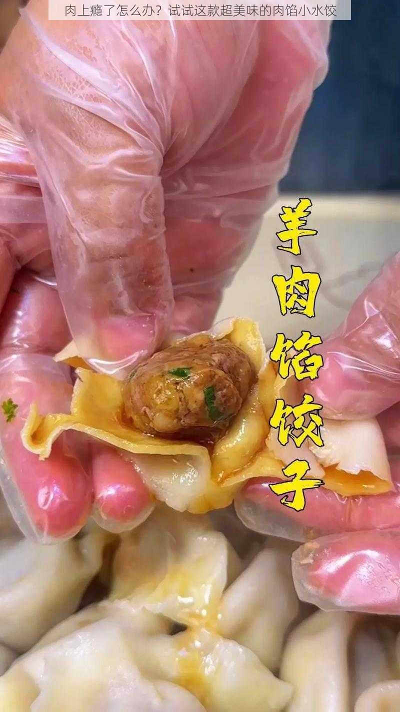 肉上瘾了怎么办？试试这款超美味的肉馅小水饺