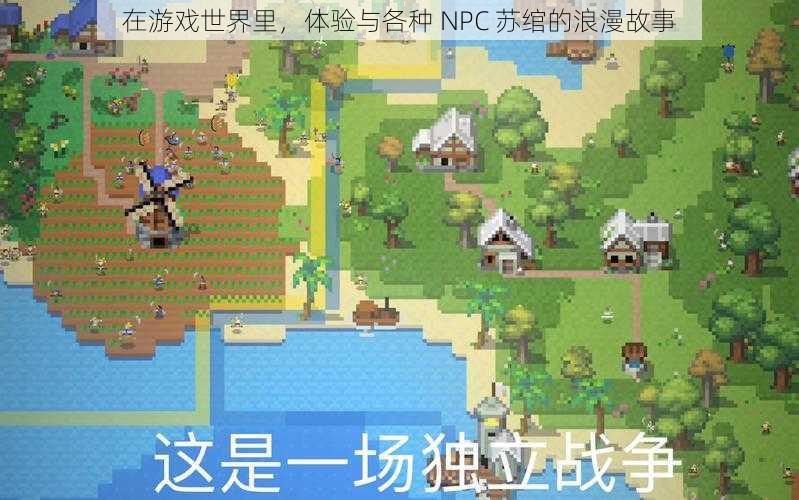 在游戏世界里，体验与各种 NPC 苏绾的浪漫故事